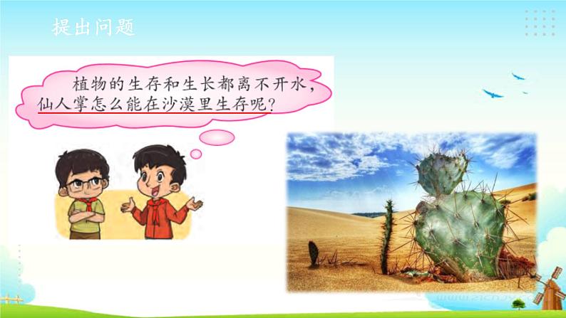 新大象版四年级下册科学1.2奇妙的植物 课件+教案+课件练习03