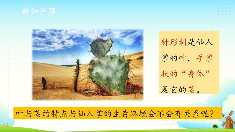 新大象版四年级下册科学1.2奇妙的植物 课件+教案+课件练习04