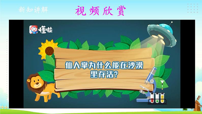 新大象版四年级下册科学1.2奇妙的植物 课件+教案+课件练习07