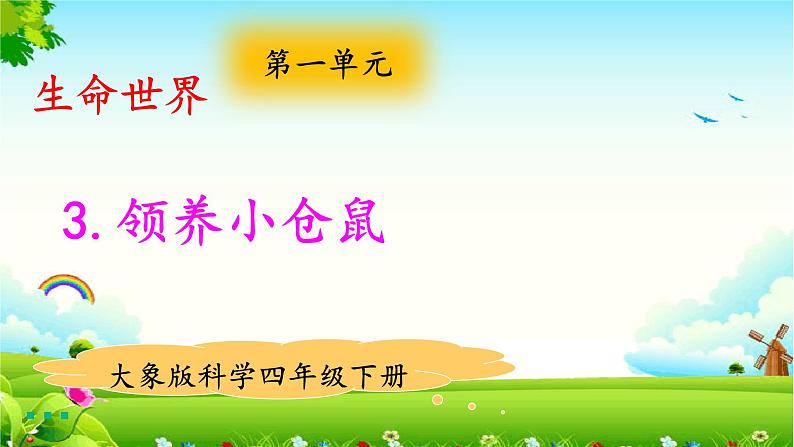 新大象版四年级下册科学1.3领养小仓鼠 课件+教案+课件练习01
