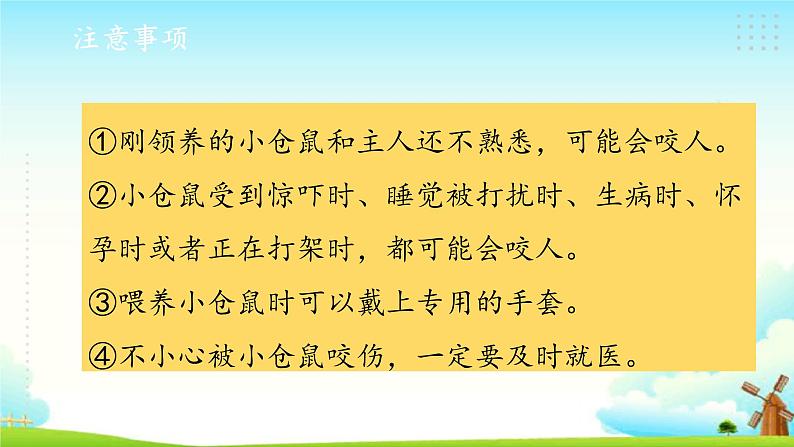 新大象版四年级下册科学1.3领养小仓鼠 课件+教案+课件练习05