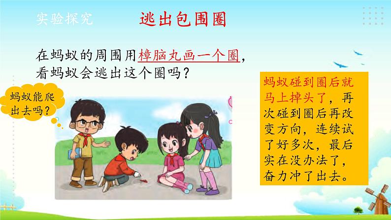 新大象版四年级下册科学1.4动物的适应能力 课件+教案+练习题课件04