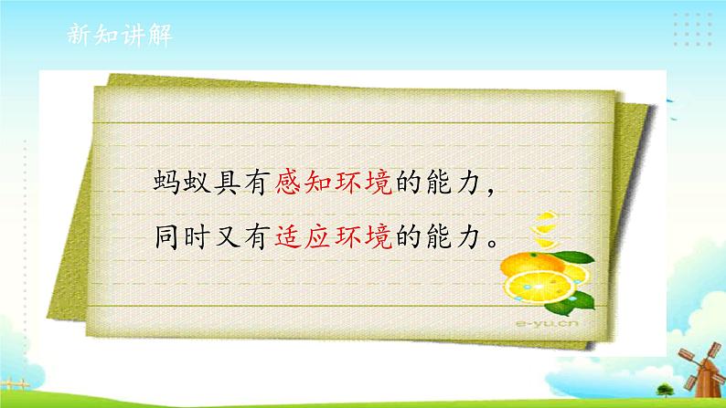 新大象版四年级下册科学1.4动物的适应能力 课件+教案+练习题课件06
