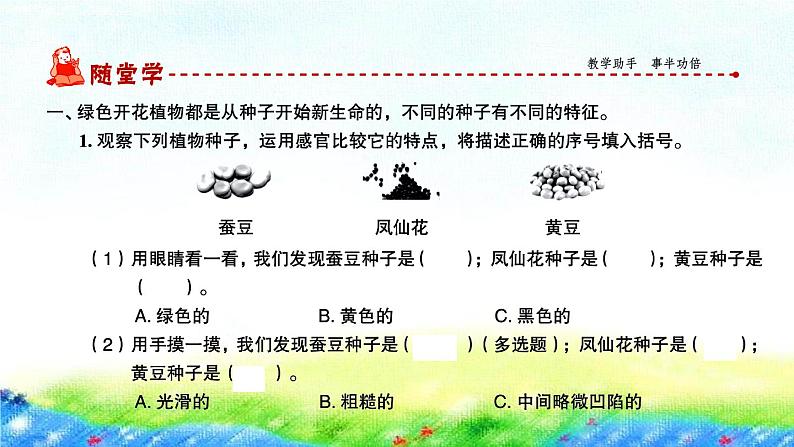 教科版四年级下册第一单元  植物的生长变化习题课件02