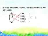 教科版四年级下册第一单元  植物的生长变化习题课件