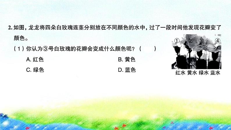 教科版四年级下册第一单元  植物的生长变化习题课件04