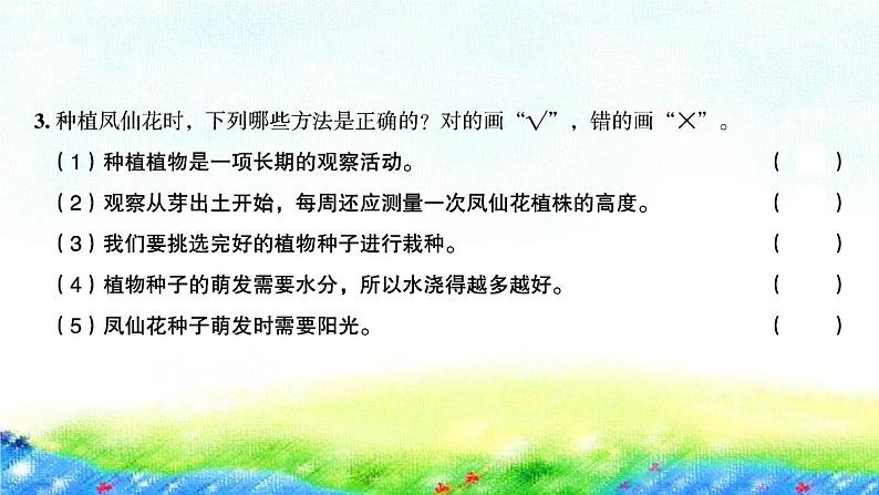 教科版四年级下册第一单元  植物的生长变化习题课件04