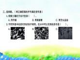 教科版四年级下册第三单元  岩石与土壤习题课件