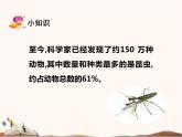 苏教版四年级下册科学9.庞大的“家族”课件（无教案）