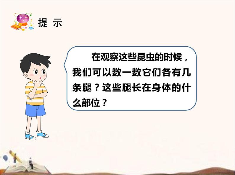 苏教版四年级下册科学9.庞大的“家族”课件（无教案）06