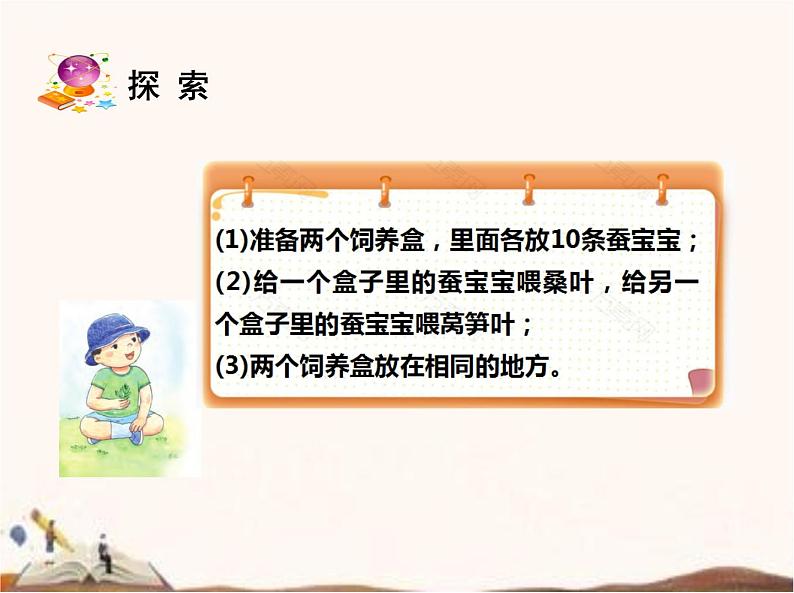 苏教版四年级下册科学11.探究昆虫的奥秘课件（无教案）05