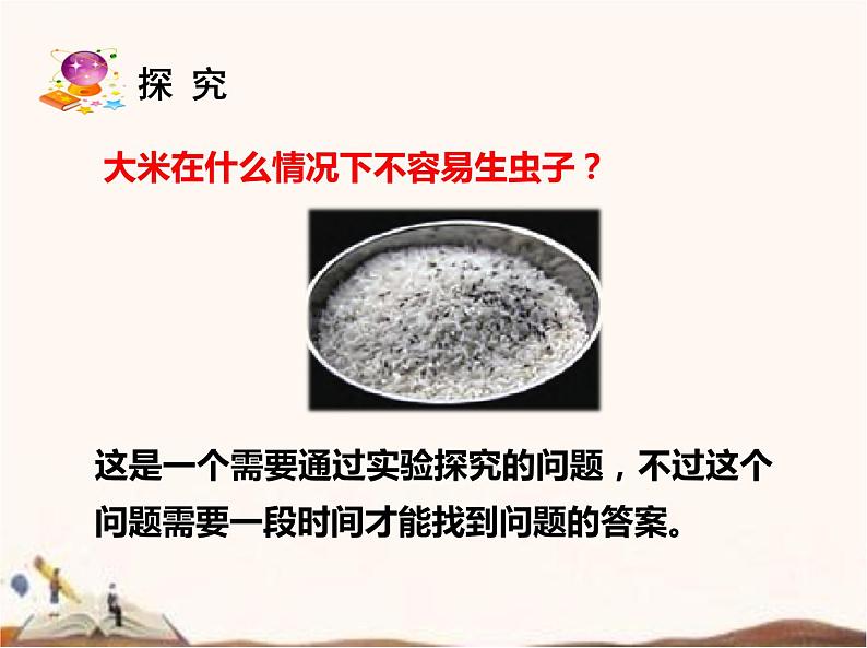 苏教版四年级下册科学11.探究昆虫的奥秘课件（无教案）08