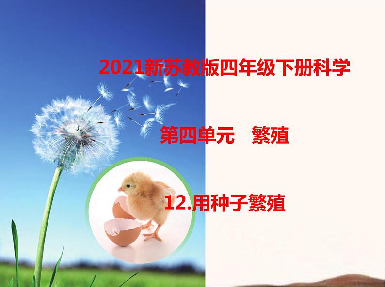 苏教版四年级下册科学12.用种子繁殖课件（无教案）01