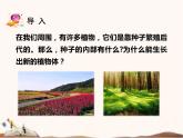 蘇教版四年級(jí)下冊(cè)科學(xué)12.用種子繁殖課件（無(wú)教案）