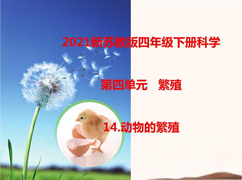 苏教版四年级下册科学14.动物的繁殖课件__（无教案）01