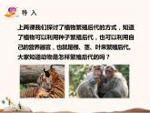 蘇教版四年級下冊科學(xué)14.動物的繁殖課件__（無教案）