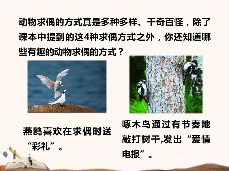 苏教版四年级下册科学14.动物的繁殖课件__（无教案）06