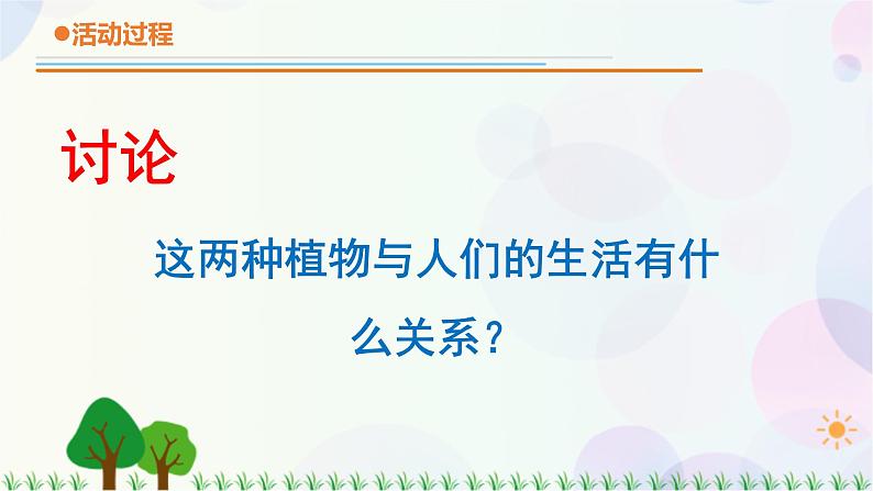 青岛版四下科学14.《调查家乡植物》课件PPT+教案+视频素材06