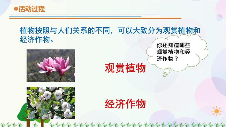 青岛版四下科学14.《调查家乡植物》课件PPT+教案+视频素材08