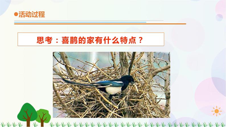 青岛教版四下科学16.《动物的“家” 》课件PPT+教案+视频素材03