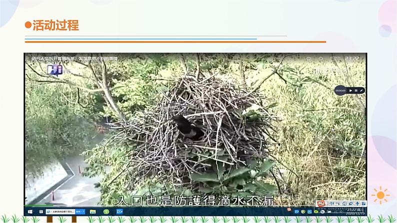 青岛教版四下科学16.《动物的“家” 》课件PPT+教案+视频素材04