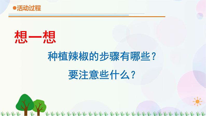 青岛版四下科学12.《种辣椒》课件PPT+教案+视频素材08