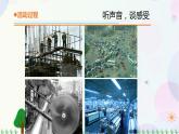 青岛版四下科学7.《噪声的危害和防治》课件PPT+教案+视频素材