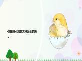 新冀人版科學(xué)四下 3.8 卵生與胎生 PPT課件+視頻