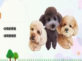 新冀人版科學(xué)四下 3.8 卵生與胎生 PPT課件+視頻