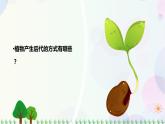 新冀人版科学四下 2.6 植物的繁殖 PPT课件+视频