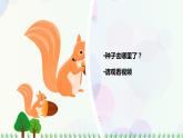 新冀人版科学四下 2.6 植物的繁殖 PPT课件+视频