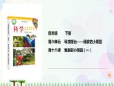 新冀人版科学四下 6.18 我家的小菜园（一）PPT课件+视频