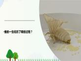 新冀人版科学四下 3.9 蚕的一生 PPT课件+视频