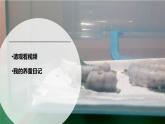 新冀人版科学四下 3.9 蚕的一生 PPT课件+视频