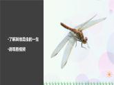 新冀人版科学四下 3.9 蚕的一生 PPT课件+视频