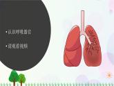 新冀人版科学四下 4.11 呼吸 PPT课件+视频