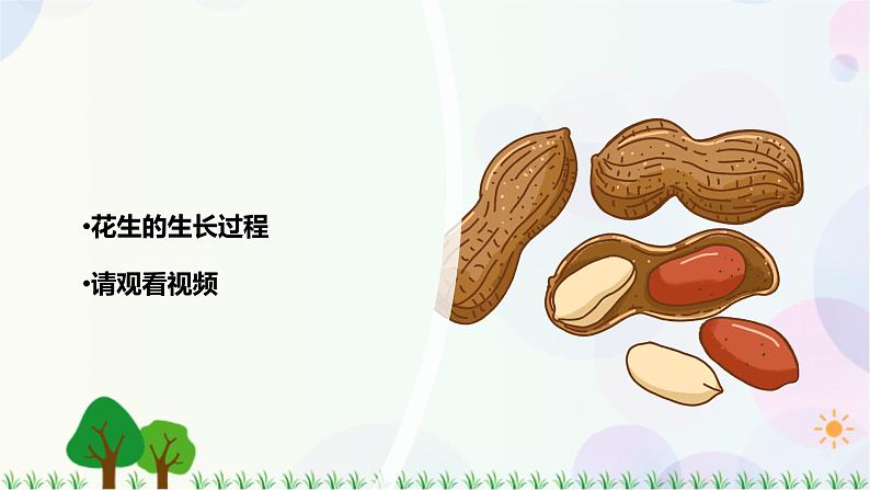 新冀人版科学四下 2.7 植物的一生 PPT课件+视频03