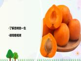 新冀人版科学四下 2.7 植物的一生 PPT课件+视频