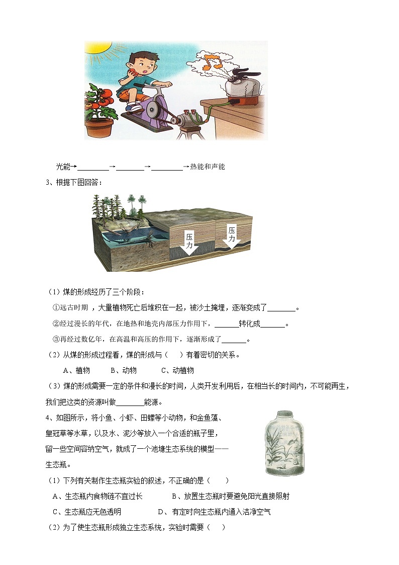 粤教版科学小升初专项练习•读图题第2页