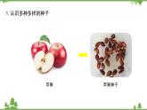 蘇教版科學(xué)三年級下冊第一單元《植物的一生》第一課《種子發(fā)芽了二》PPT課件