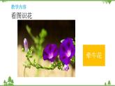 蘇教版科學(xué)三年級(jí)下冊(cè)5第一單元《植物的一生》第三課《植物開(kāi)花了》PPT課件