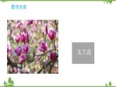 蘇教版科學(xué)三年級(jí)下冊(cè)5第一單元《植物的一生》第三課《植物開(kāi)花了》PPT課件