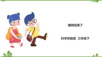 苏教版 (2017)4 植物结果了完美版课件ppt