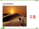 蘇教版科學(xué)三年級(jí)下冊(cè)第二單元《植物語環(huán)境》第二課《沙漠中的植物》PPT課件