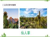 苏教版科学三年级下册第二单元《植物语环境》第二课《沙漠中的植物》PPT课件