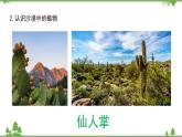 蘇教版科學(xué)三年級(jí)下冊(cè)第二單元《植物語環(huán)境》第二課《沙漠中的植物》PPT課件