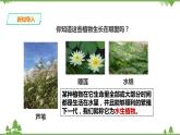 苏教版科学三年级下册2.7《水里的植物》PPT课件+教案+练习+素材