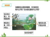 苏教版科学三年级下册2.7《水里的植物》PPT课件+教案+练习+素材