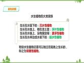 苏教版科学三年级下册2.7《水里的植物》PPT课件+教案+练习+素材