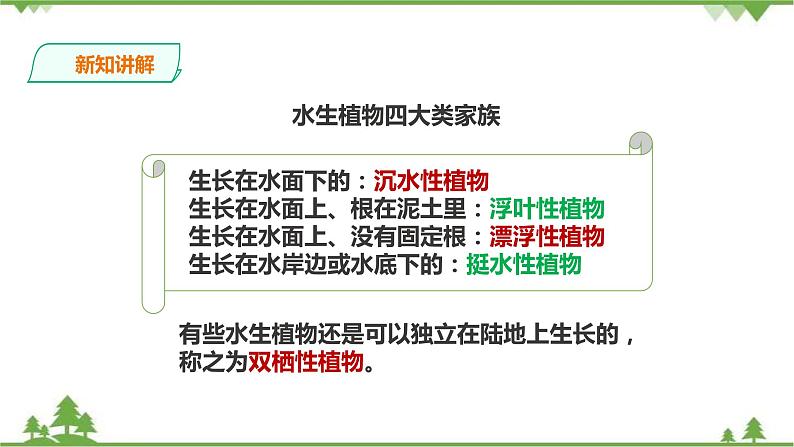苏教版科学三年级下册2.7《水里的植物》PPT课件+教案+练习+素材05